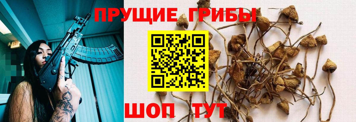 Псилоцибиновые грибы MAGIC MUSHROOMS  Псилоцибиновые грибы GOLDEN TEACHER  Амурск 